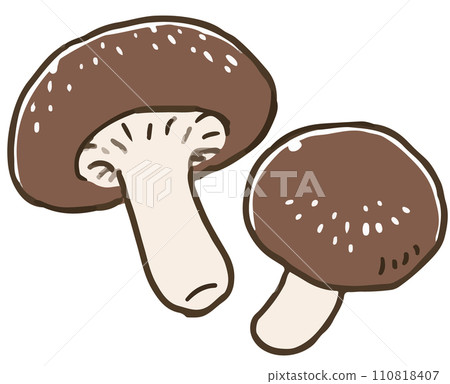 Shiitake mushroom Shiitake mushroom 110818407