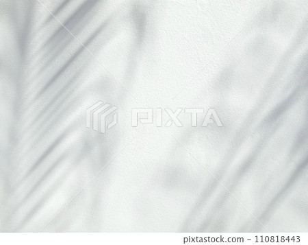 Tropical palm leaves shadow on a white wall background Tropical palm leaves shadow on a white wall background 110818443