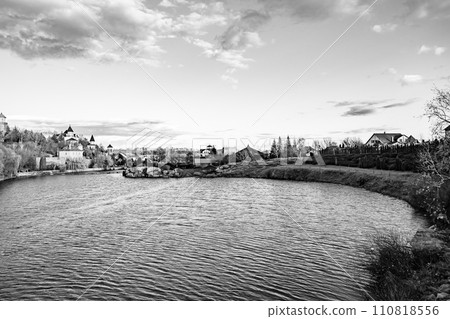 Beautiful grass swamp reed growing on shore reservoir in countryside 110818556