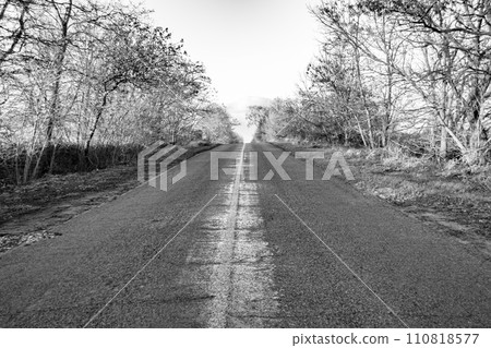 Beautiful empty asphalt road in countryside on colored background 110818577