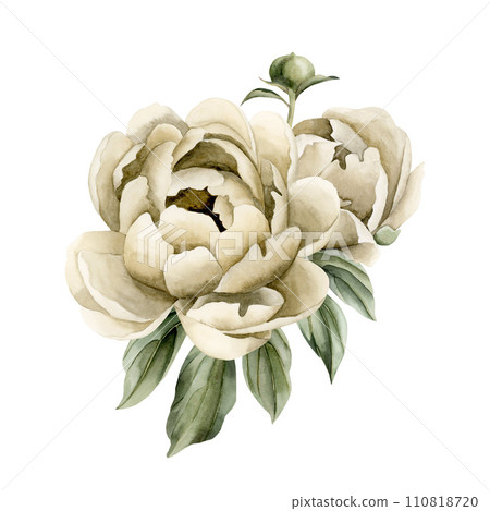 Composition of beige peony flowers, buds and green leaves. Floral watercolor illustration hand painted isolated on white background. Perfect for wedding invitations, greeting cards, posters, wallpaper 110818720