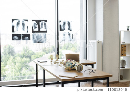 Skeleton with organs, brain, bones, joints. Skeleton with organs, brain, bones, joints. 110818946