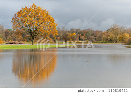 Oak tree reflected in a flooded meadow after heavy rains. Autumn landscape. Oak tree reflected in a flooded meadow after heavy rains. Autumn landscape. 110819411