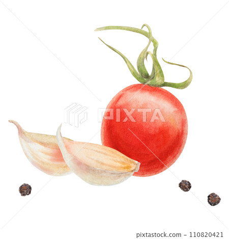 Fresh ripe cherry tomato on branch, onion, garlic, pepper. Hand drawn watercolor illustration of red organic vegetable, close-up, vegetarian food, natural ingredient, package design element, painting Fresh ripe cherry tomato on branch, onion, garlic, pepper. Hand drawn watercolor illustration of red organic vegetable, close-up, vegetarian food, natural ingredient, package design element, painting 110820421