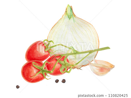 Fresh ripe cherry tomato on branch, onion, garlic, pepper. Hand drawn watercolor illustration of red organic vegetable, close-up, vegetarian food, natural ingredient, package design element, painting 110820425