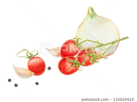 Fresh ripe cherry tomato on branch, onion, garlic, pepper. Hand drawn watercolor illustration of red organic vegetable, close-up, vegetarian food, natural ingredient, package design element, painting Fresh ripe cherry tomato on branch, onion, garlic, pepper. Hand drawn watercolor illustration of red organic vegetable, close-up, vegetarian food, natural ingredient, package design element, painting 110820428