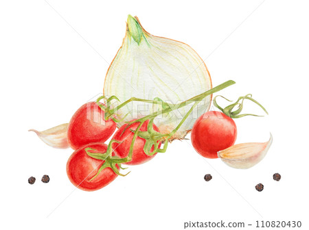 Fresh ripe cherry tomato on branch, onion, garlic, pepper. Hand drawn watercolor illustration of red organic vegetable, close-up, vegetarian food, natural ingredient, package design element, painting Fresh ripe cherry tomato on branch, onion, garlic, pepper. Hand drawn watercolor illustration of red organic vegetable, close-up, vegetarian food, natural ingredient, package design element, painting 110820430