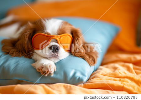 Cute puppy sleeping in bed and wearing orange sleeping mask 110820793