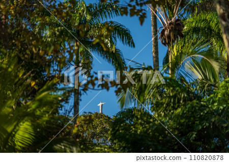 Iconic Statue Visible Through Lush Tropical Foliage 110820878