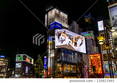 Holographic cat in the Shinjuku district Holographic cat in the Shinjuku district 110821993