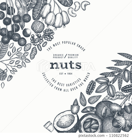 Hand Drawn Nuts Branch And Kernels Template. Organic Seed Vector Design. Retro Nut Illustration. Engraved Style Botanical Banner. Hand Drawn Nuts Branch And Kernels Template. Organic Seed Vector Design. Retro Nut Illustration. Engraved Style Botanical Banner. 110822562
