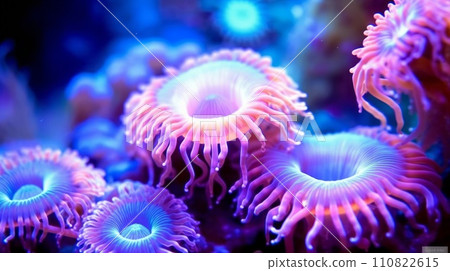 Purple polyps underwater. Beautiful coral reef with purple polyps. Bright purple polyps growing in clear ocean water on a reef. Underwater world of corals in sunlight 110822615