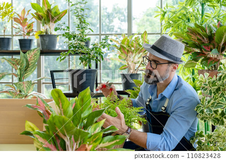 Hipster elderly men take care of the trees, pruning trees with scissors as a hobby of urban home gardening after sustainable retirement 110823428
