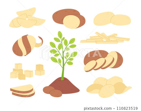 Cartoon sliced potatoes raw ingredients. White potato sticks, slice and cubes. Prepare vegetables for meals. Fresh agriculture racy vector elements 110823519