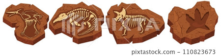 Ground and stone excavations of dinosaurs prehistoric fossils 110823673