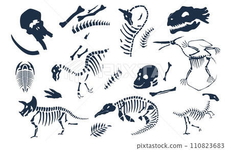 Dinosaurs bones, skeletons and skulls fossils set Dinosaurs bones, skeletons and skulls fossils set 110823683