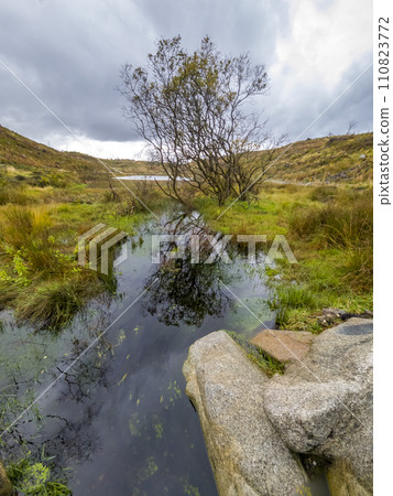 View of the beautiful stream in Bonny Glen in County Donegal - Ireland. 110823772