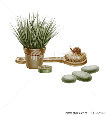 Watercolor illustration. Potted Evergreen, Wooden Dry Massage Brush, Snail, candle, Massage Stones. Wellness and beauty salon spa concept. Isolated on white background. Watercolor illustration. Potted Evergreen, Wooden Dry Massage Brush, Snail, candle, Massage Stones. Wellness and beauty salon spa concept. Isolated on white background. 110824612