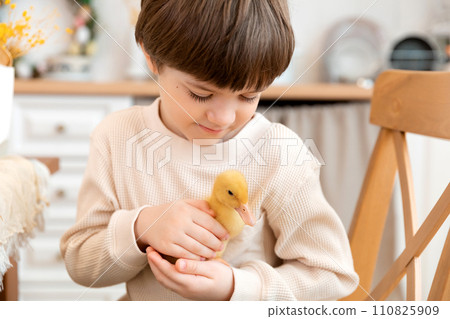 A boy sits at kitchen of rustic style and hugs little yellow duckling 110825909
