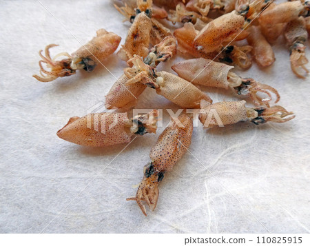 A photo of dried small squid, small but full of flavor. A photo of dried small squid, small but full of flavor. 110825915