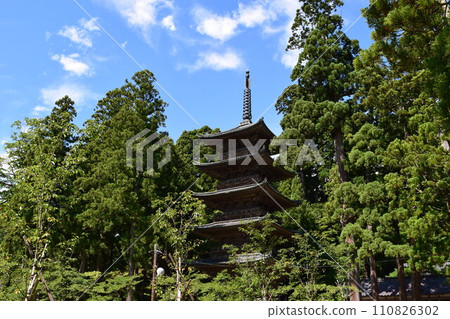 善法寺山形縣鶴岡市 善法寺山形縣鶴岡市 110826302