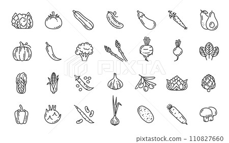 Raw vegetable line icons. Cauliflower, tomato, cucumber, eggplant and carrot, avocado and pumpkin, pepper and artichoke, beet, turnip, bean and garlic, kohlrabi, onion, potato outline vector pictogram 110827660