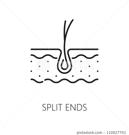 Hair care, split ends treatment thin line icon. Haircare cosmetology treatment or woman beauty cosmetics outline vector sign or pictogram unhealthy hair follicle in skin layer Hair care, split ends treatment thin line icon. Haircare cosmetology treatment or woman beauty cosmetics outline vector sign or pictogram unhealthy hair follicle in skin layer 110827701