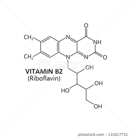Vitamin b2, riboflavin molecular formula, vector structure c17h20n4o6 consists of a central benzene ring with a ribitol side chain, essential for energy metabolism in the body, and tissue maintenance 110827732