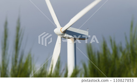 Impact of new renewable technologies on nature 110827853