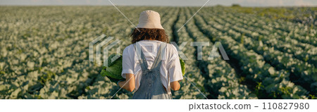 Back view of female farmer in uniform working in cabbage field during harvest. Agricultural activity 110827980