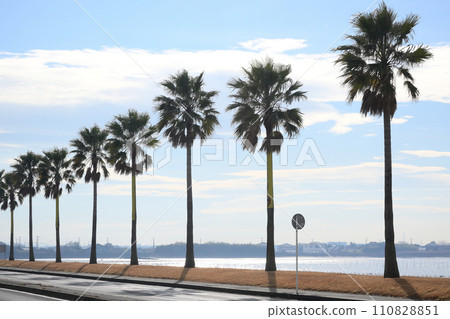 Chiba Fornia Sodegaura City, Chiba Prefecture 110828851