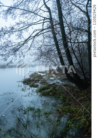 Scary mysterious forest with green light and frozen lake in fog in winter. Nature misty landscape. Scary halloween landscape background. Trail through mysterious dark old forest in fog. Magical Scary mysterious forest with green light and frozen lake in fog in winter. Nature misty landscape. Scary halloween landscape background. Trail through mysterious dark old forest in fog. Magical 110829426