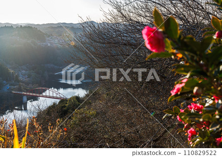 At Tsukigase Baikei, waiting for spring, Tsukigase no Sato (distant view overlooking Tsukigase Bridge) receives the afternoon sun and thinks about the coming spring.② 110829522