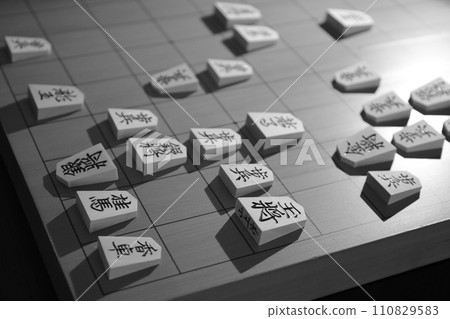 將棋（第73屆國王錦標賽第2局紀錄）2 110829583