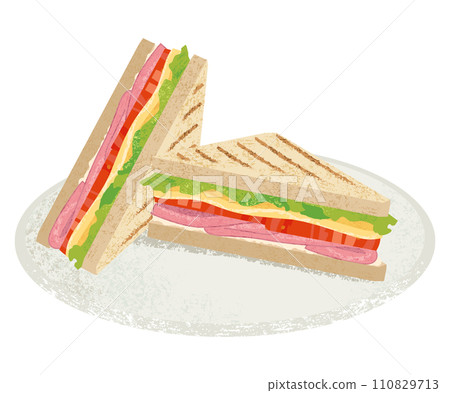 illustration of a sandwich on a plate 110829713