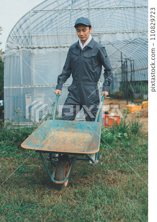 agricultureh, monocycle, wheelbarrow 110829723