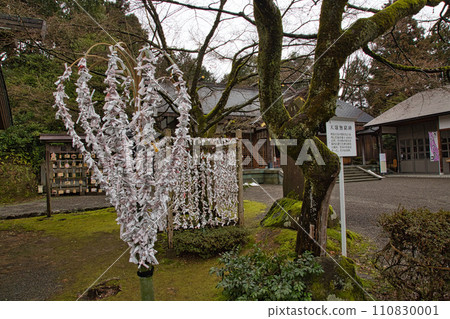 新年的足羽神社 新年的足羽神社 110830001