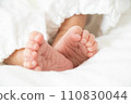 baby photo newborn baby photo newborn 110830044