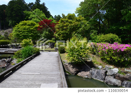 Nishiyama Goten (Nishiyamaso) 2023-5-3 #2 Nishiyama Goten (Nishiyamaso) 2023-5-3 #2 110830054