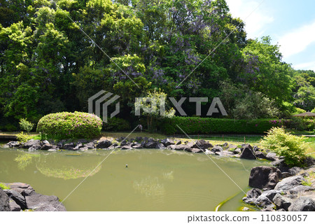 Nishiyama Goten (Nishiyamaso) 2023-5-3 #5 110830057