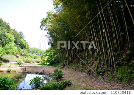 Nishiyama Goten (Nishiyamaso) 2023-5-3 #13 110830418