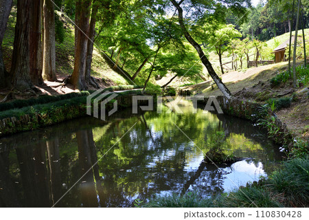 Nishiyama Goten (Nishiyamaso) 2023-5-3 #18 Nishiyama Goten (Nishiyamaso) 2023-5-3 #18 110830428