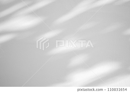 Abstract natural tree leaves shadow on white wall background 110831654
