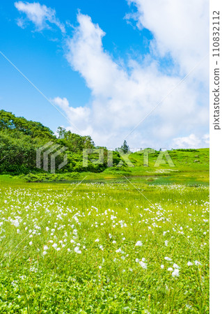 夏季攀登火內山（天狗庭園：棉草群落） 110832112