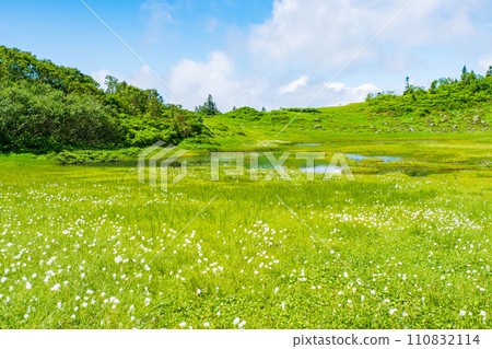 夏季攀登火內山（天狗庭園：棉草群落） 110832114
