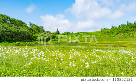 夏季攀登火內山（天狗庭園：棉草群落） 110832121
