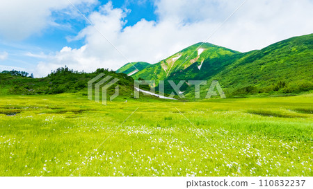 夏天攀登火內山（天狗庭園：火內山和棉草群落） 110832237