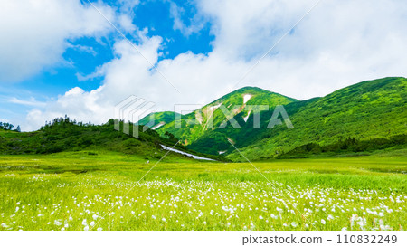Climbing Mt. Hiuchi in summer (Tengu's garden: Mt. Hiuchi and cotton grass community) Climbing Mt. Hiuchi in summer (Tengu's garden: Mt. Hiuchi and cotton grass community) 110832249