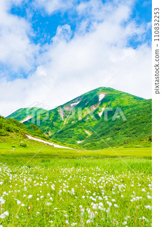 夏天攀登火內山(天狗庭園:火內山和棉草群落) 夏天攀登火內山(天狗庭園:火內山和棉草群落) 110832253