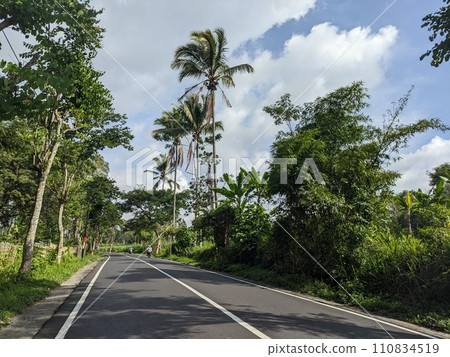 Street on the edge of town 110834519